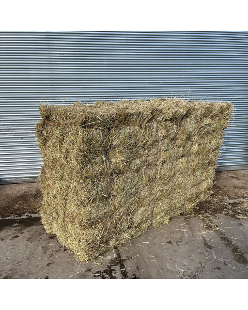 Illustration of Affordable Timothy Hay Shavings